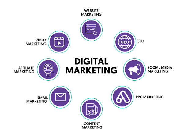 Provider portfolio image